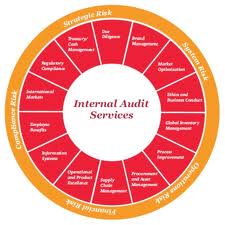 Manufacturers Exporters and Wholesale Suppliers of Internal Auditing new delhi delhi